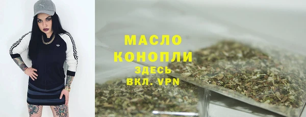 тгк Абаза