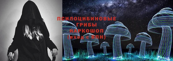 сатива Абдулино