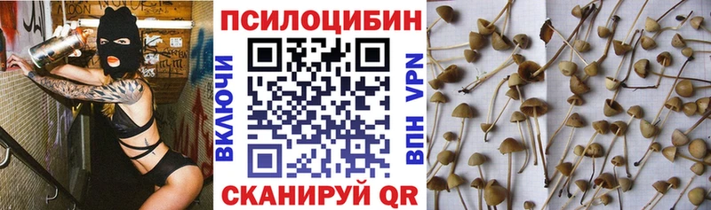Галлюциногенные грибы Cubensis  OMG зеркало  Таганрог  купить закладку 