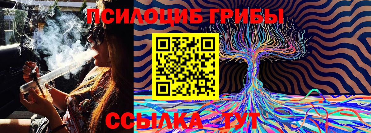 Псилоцибиновые грибы Magic Shrooms  Галлюциногенные грибы Magic Shrooms  Вход с VPN  Таганрог 
