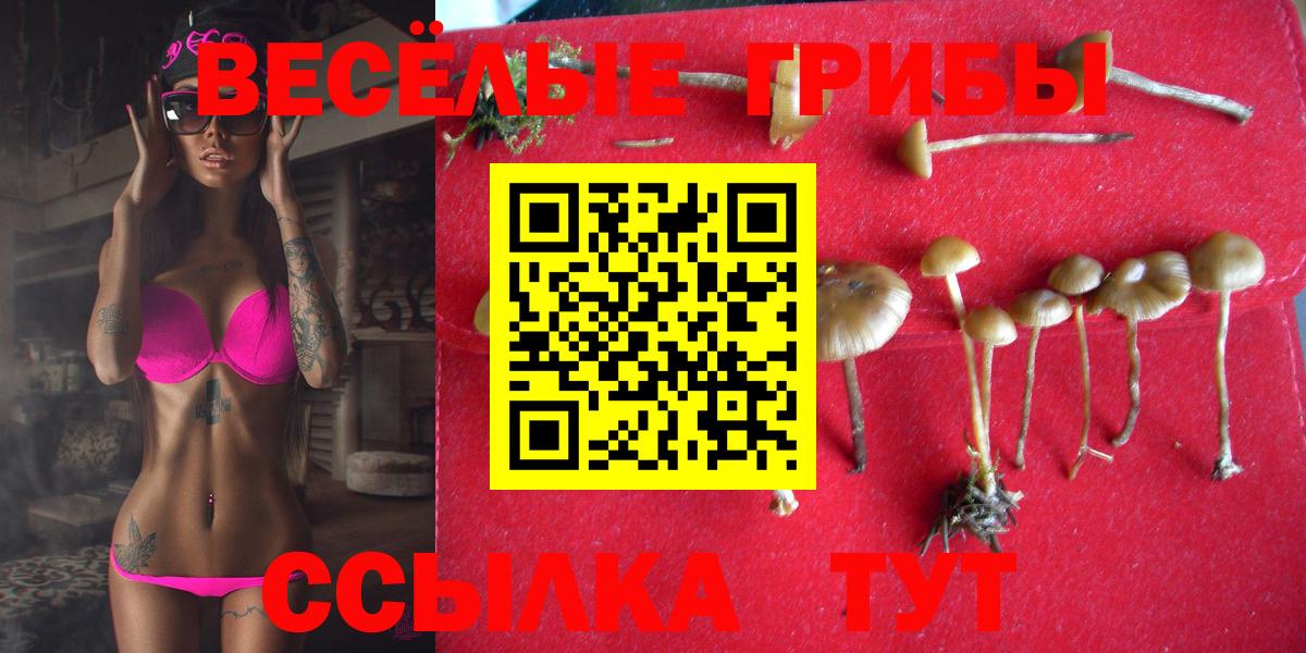 Галлюциногенные грибы Cubensis Таганрог